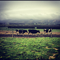 Gore, New Zealand - Kim Aeschlimann